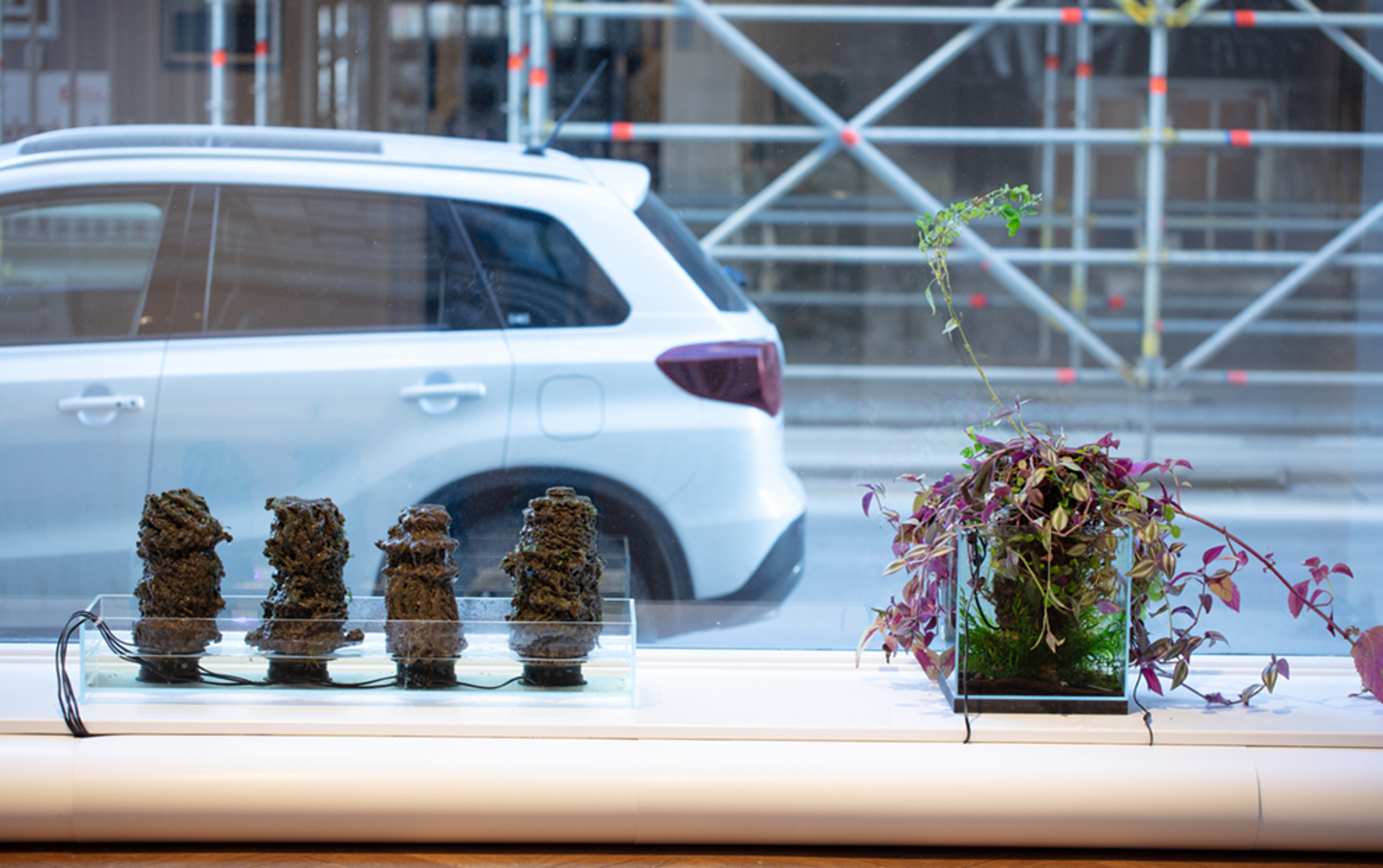 Gallerivindue set indefra skulpture med vand og mos